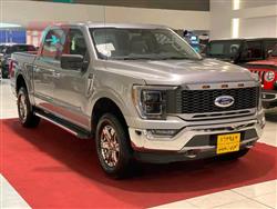فۆرد F-150